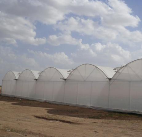 عرضه مستقیم نایلون