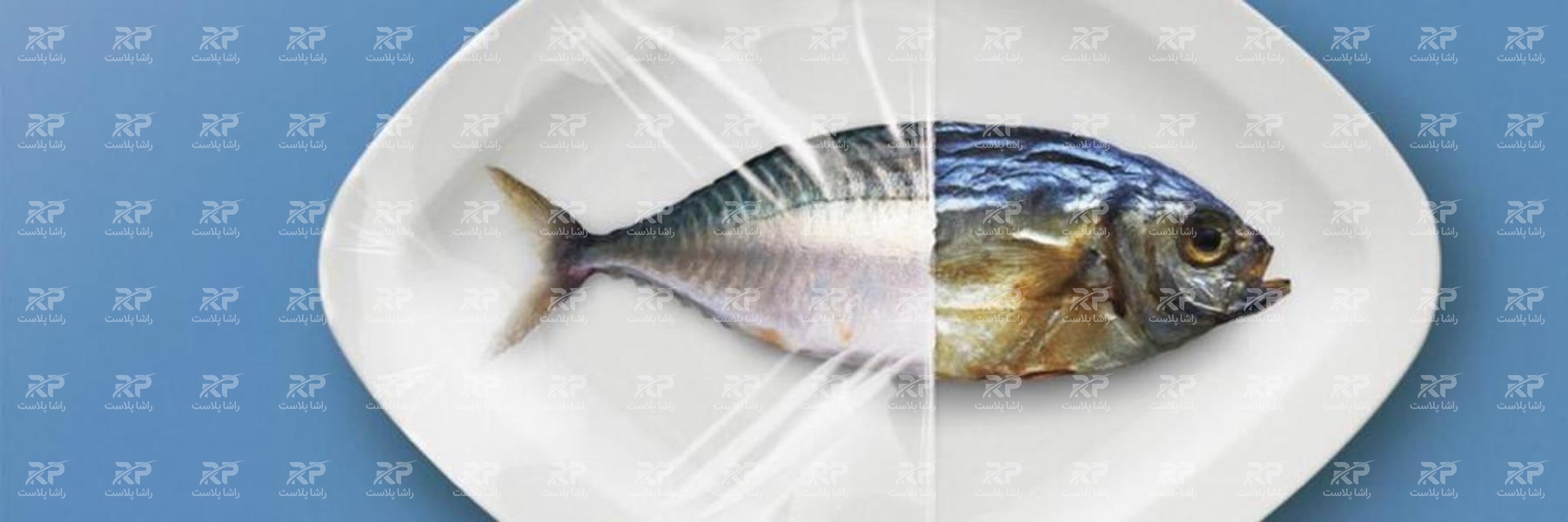 قیمت سلفون محافظ غذا