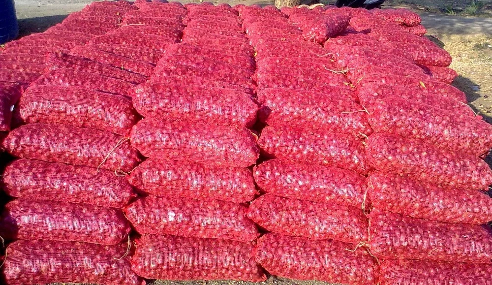 خرید توری ۱۰ کیلویی پیاز لنو و ترکیه ای