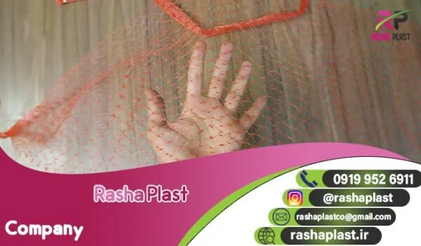 تولید تور بسته بندی کیوی + فروش عمده