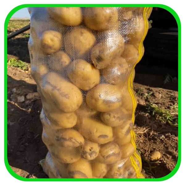 گونی شیشه ای (شفاف)