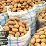 گونی پلاستیکی برای عمان جهت صادرات