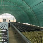 فروش توری سایبان در سیرجان (شید گلخانه)