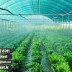 فروش مستقیم شید گلخانه برای عراق