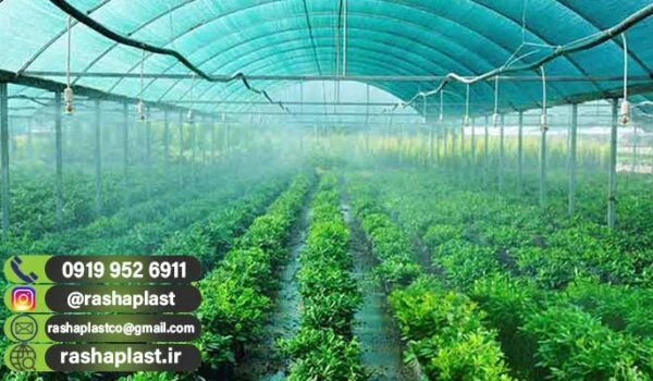 فروش مستقیم شید گلخانه برای عراق