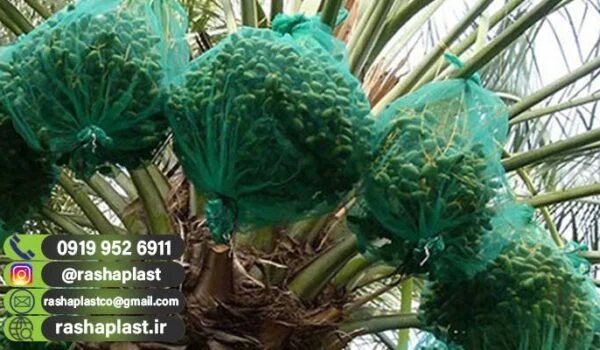 فروش پنگ پوش خرما در کرمان + قیمت عمده