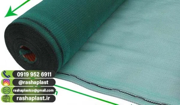 توری راشل نما