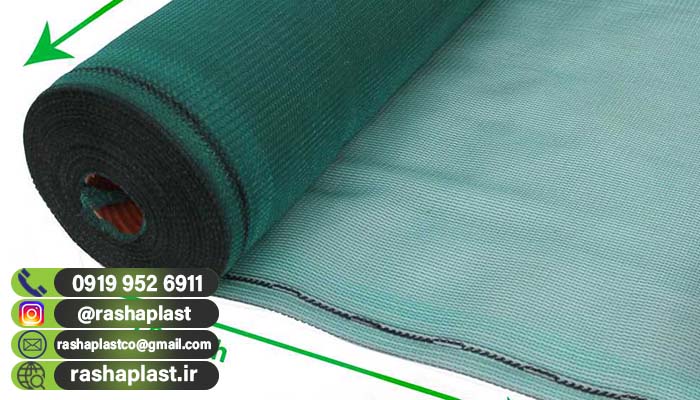 توری راشل نما