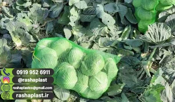 فروش توری کلم در کرج + توری راشل 60 در 80🍃🍃