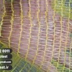 قیمت توری راشل برای لیمو + فروش عمده